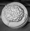 Plastercraft Chrysanthemum Jewelry Box