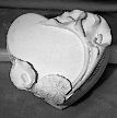 Plastercraft Cala lily Jewelry Box