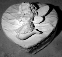 Plastercraft Fairy with Bouquet Jewelry Box