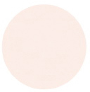 Almond - Palmer Prism Acrylic Paint