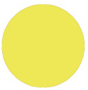 Sunlight - Palmer Prism Acrylic Paint