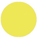 Sunlight - Palmer Prism Acrylic Paint