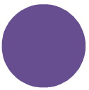 Passion Purple - Palmer Prism Acrylic Paint