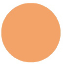 Terra Cotta - Palmer Prism Acrylic Paint