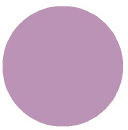 Carnation Pink - Palmer Prism Acrylic Paint