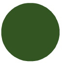 Christmas Green - Palmer Prism Acrylic Paint