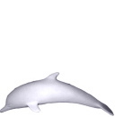 Dolphin diving down Plaster Statue