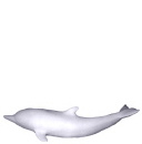 Dolphin swimming up Plaster Statue