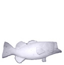 Bass Plaster Plaque