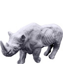 Rhino Plaster Statue