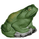 Bull Frog Plaster Statue