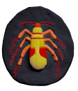 Beetle Plaster Plaque