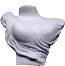 Display Torso Plaster Statue
