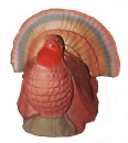 Turkey Plaster Statue Medium