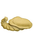 Horn of Plenty Plaster Statue Small