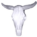 Cow skull Plaster Plaque Large