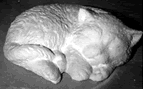 Cat statue