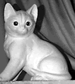 statue