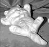 Cat statue