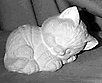 Cat statue