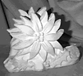 Poinsettia Napkin Holder