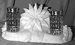 Poinsettia Salt and Pepper Holder