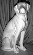 Labrador Seated statue