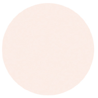 Almond - Palmer Prism Acrylic Paint