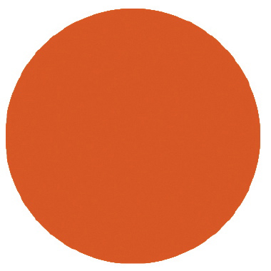 Bonfire Orange - Palmer Prism Acrylic Paint