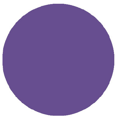 Passion Purple - Palmer Prism Acrylic Paint