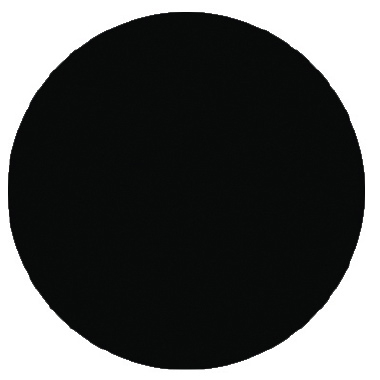 Raven Black - Palmer Prism Acrylic Paint