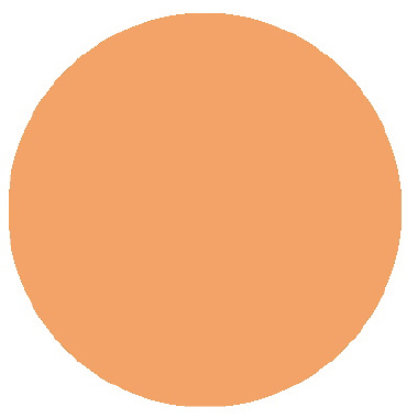 Terra Cotta - Palmer Prism Acrylic Paint