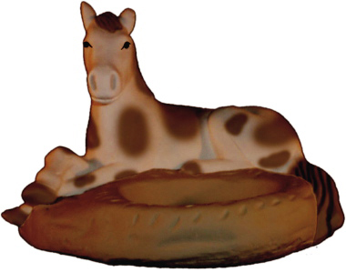 Horse Resting Plaster Coin Holder
