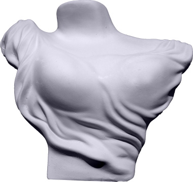 Display Torso Plaster Statue