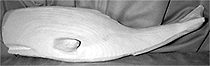 Whale Wall Art Plaque