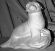 Seal on Rock statue