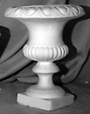 Topiary Vase