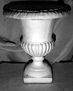 Precious Vase