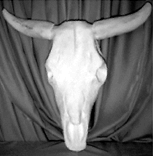 Western or Southwestern statue