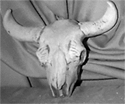 statue