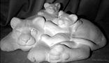 Wild Animal Statue