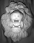 Wild Animal Statue