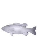 Bass Plaster Plaque Large
