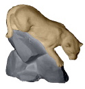 Mountain Lion Plaster Statue