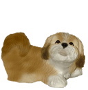 Lhasa Apso Plaster Statue