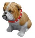 Bulldog with Collar Plaster Statue