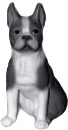 Boston Terrier Plaster Statue