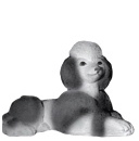Poodle Lying Down Plaster Statue