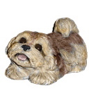 Shih Tzu Plaster Statue