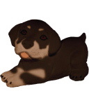 Rotty Puppy Plaster Statue